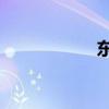 东风雪铁龙富康988
