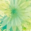 起亚k3口碑