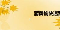 蒲黄榆快速路