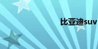 比亚迪suv
