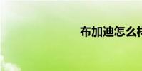 布加迪怎么样