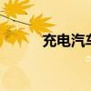 充电汽车有哪些品牌10万元以下