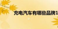 充电汽车有哪些品牌10万元以下