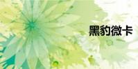 黑豹微卡
