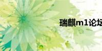 瑞麒m1论坛