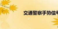 交通警察手势信号视频