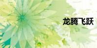 龙腾飞跃