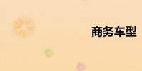 商务车型