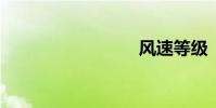 风速等级