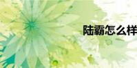 陆霸怎么样