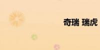 奇瑞 瑞虎