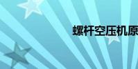 螺杆空压机原理