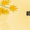 能上路的电动四轮车